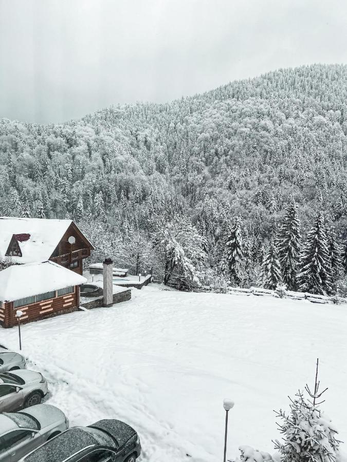 Kamyanka Hotel Mizhhirya  Buitenkant foto