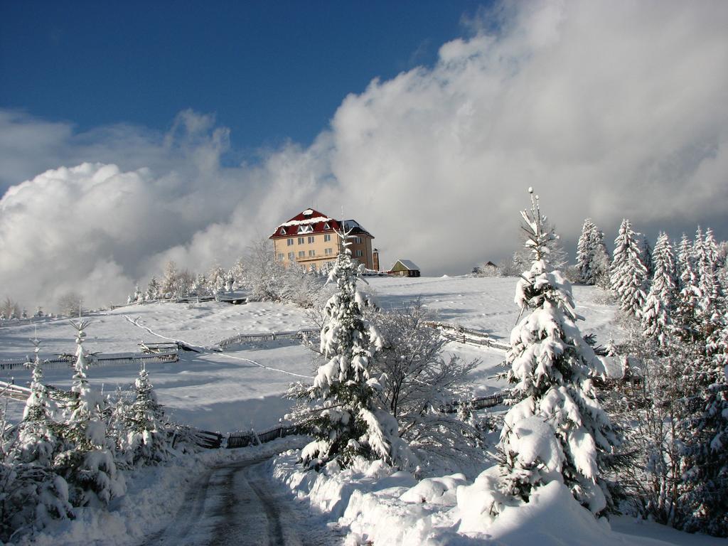 Kamyanka Hotel Mizhhirya  Buitenkant foto